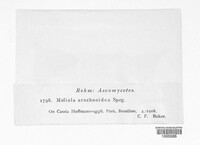 Image Associated With the Occurrence